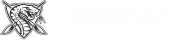 Stefacha logo